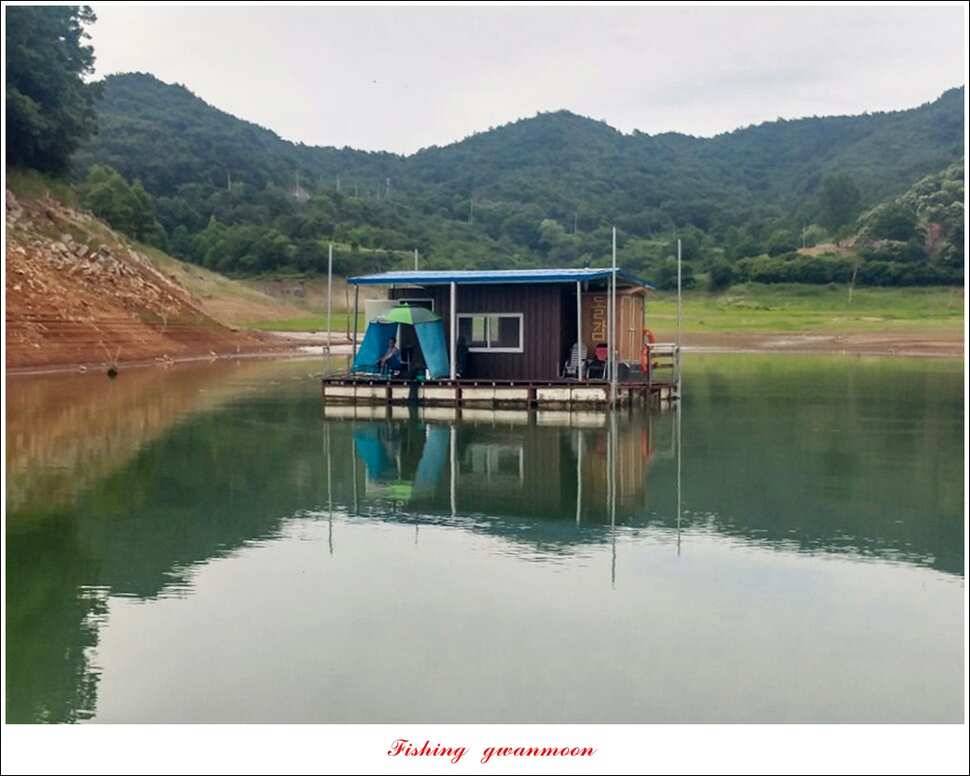 신매돌감화곡지 월척 조황 (조황조행기 - 특파원조황)