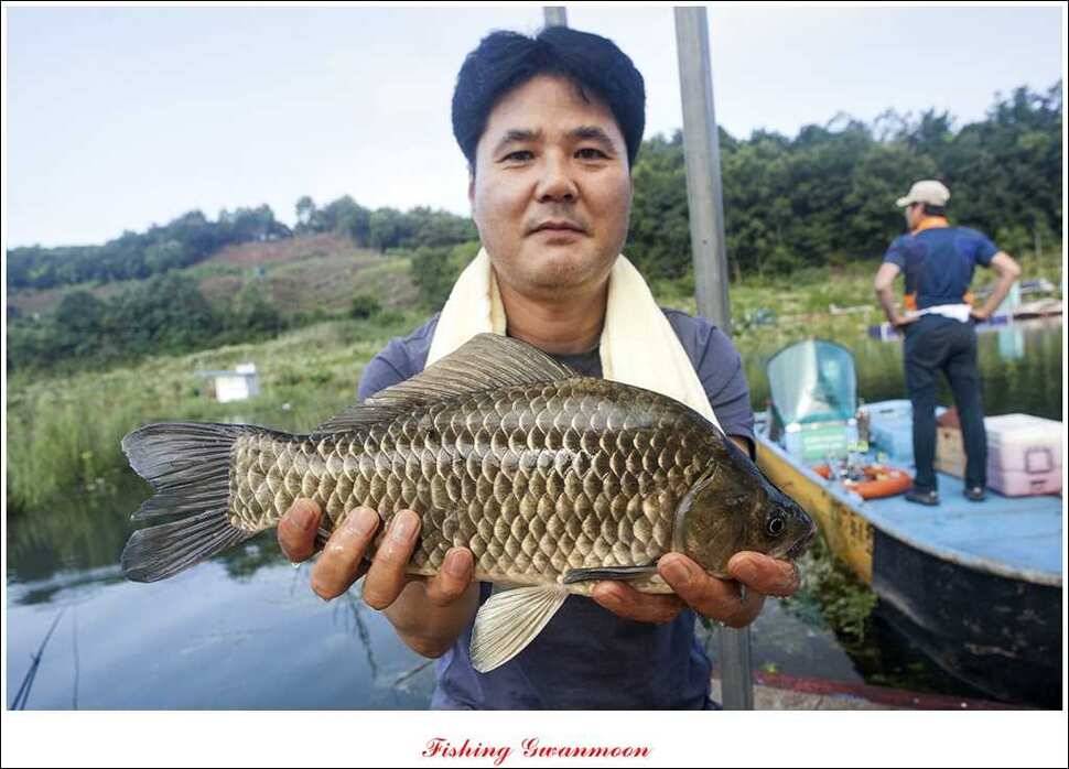 윤 낚시터 사짜늘푸른 장어추평지 (조황조행기 - 특파원조황)