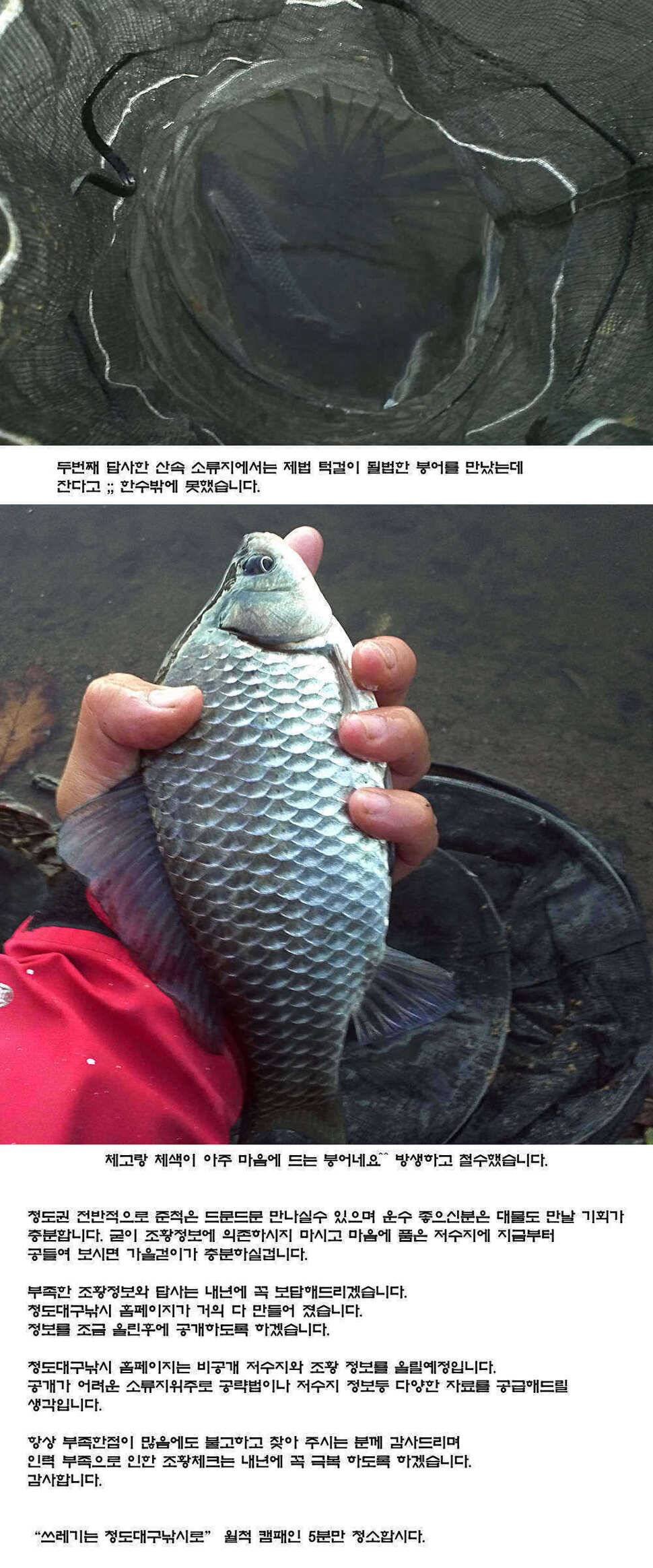 주중 청도 조황 정보입니다 (조황조행기 - 특파원조황)