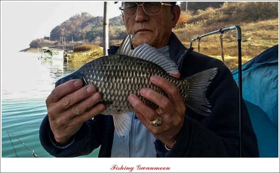 돌감실리곡 조황 (조황조행기 - 특파원조황)