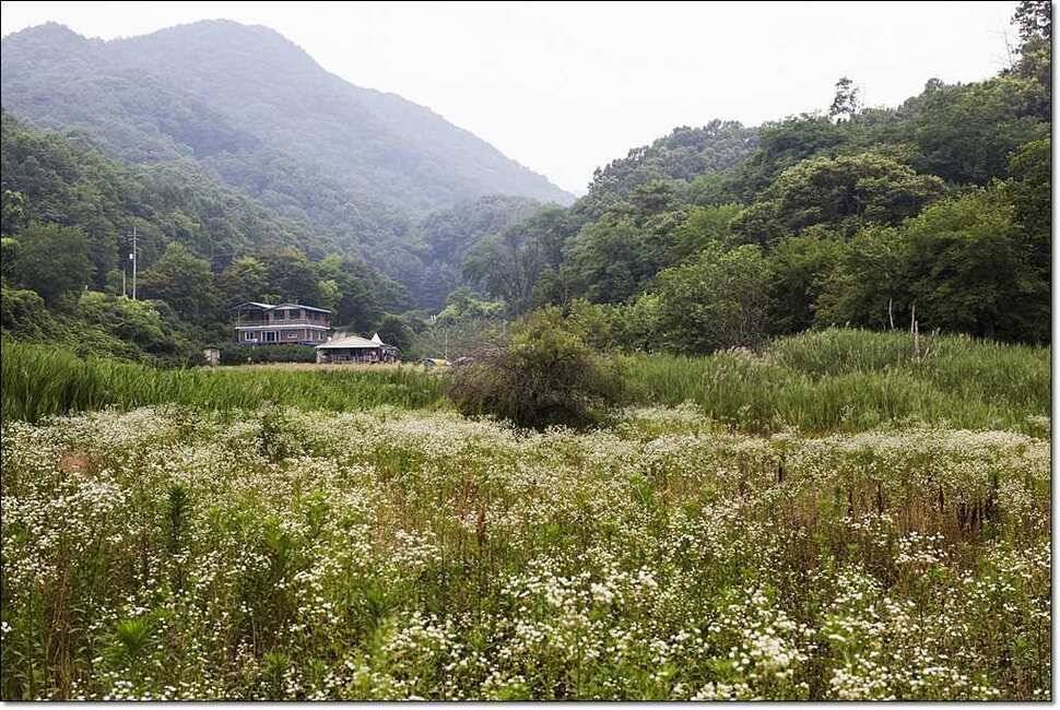 문골 낚시터 월척 (조황조행기 - 특파원조황)