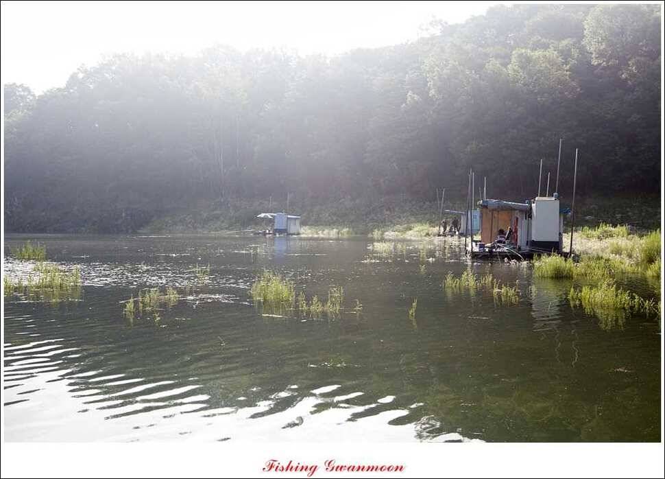 윤 낚시터 사짜늘푸른 장어추평지 (조황조행기 - 특파원조황)