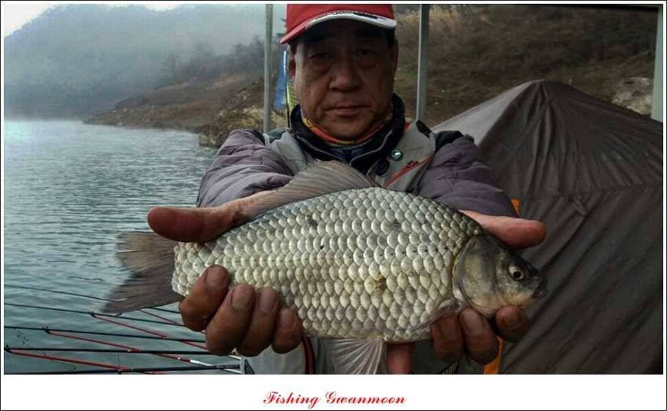 돌감실리곡 조황 (조황조행기 - 특파원조황)