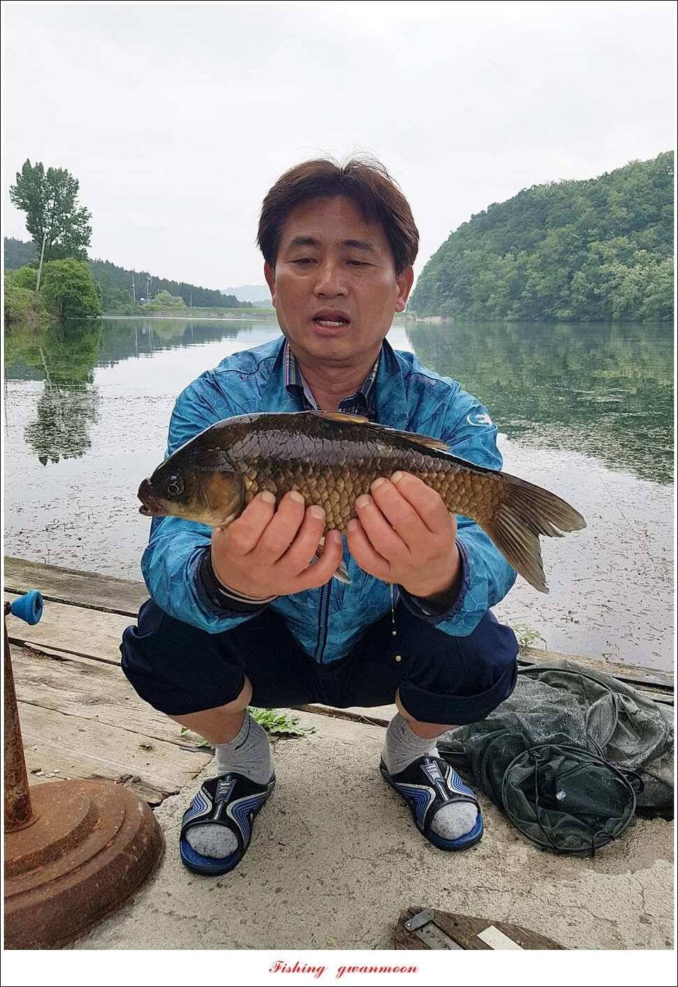 칠성지 435 cm화곡지 월척한버들 월척 (조황조행기 - 특파원조황)