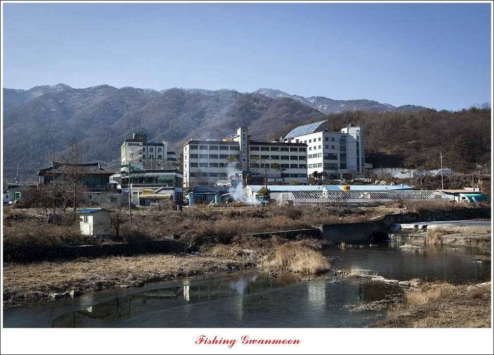 충주권빙어조황 (조황조행기 - 특파원조황)