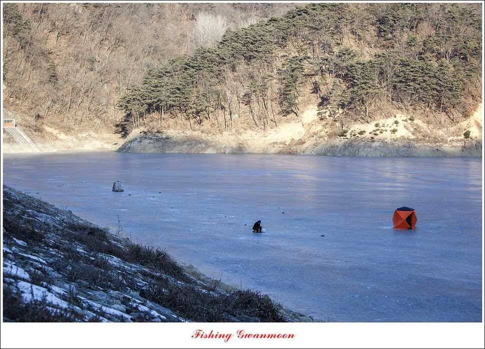 충주권빙어조황 (조황조행기 - 특파원조황)