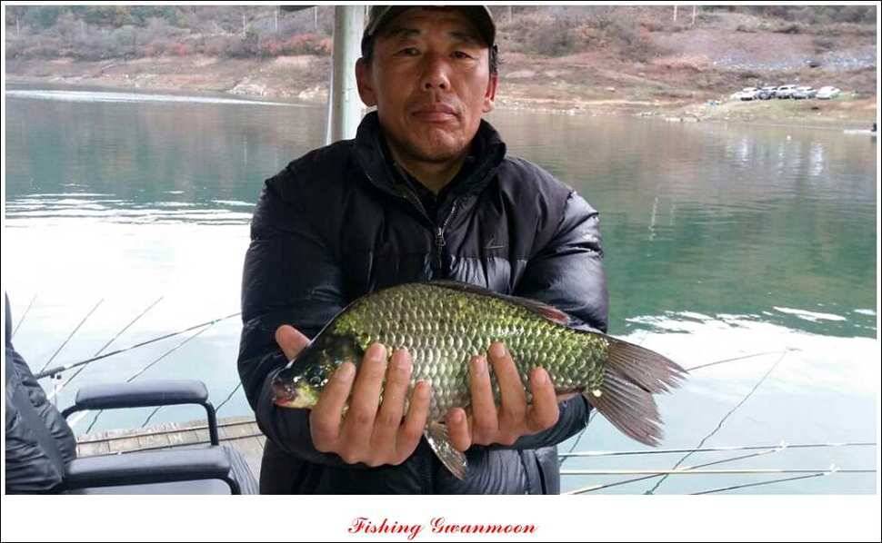충주호 11 월 첫주 주말 조황 (조황조행기 - 특파원조황)