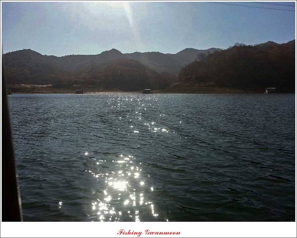 돌감실리곡 조황 (조황조행기 - 특파원조황)