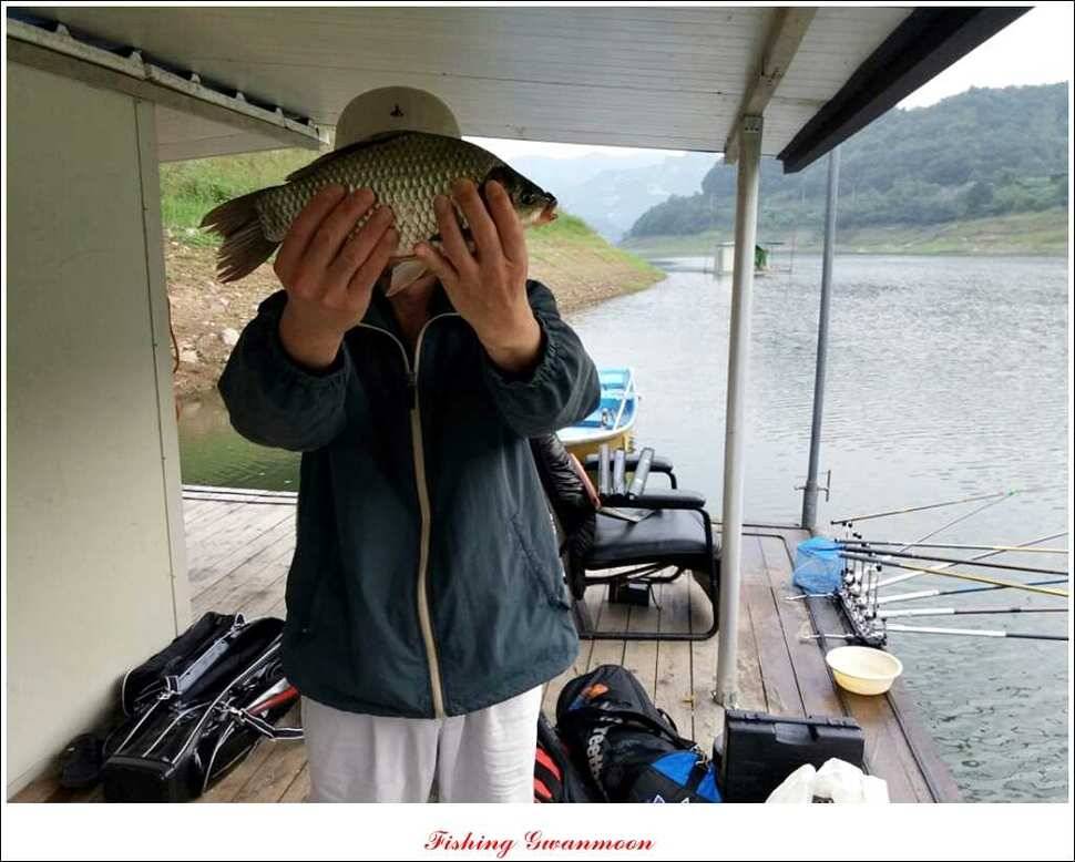 한버들돌감실리곡화곡지노지 조황 (조황조행기 - 특파원조황)