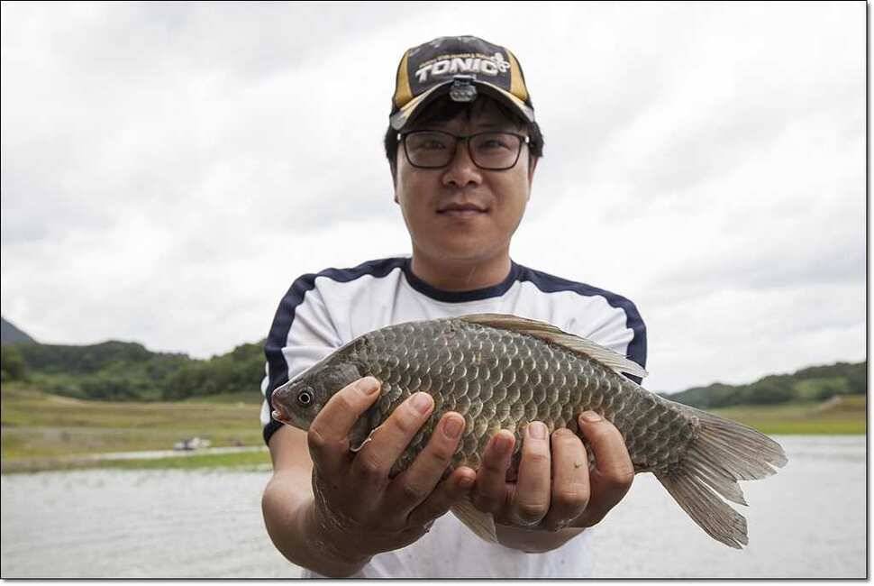 연론리 돌감 425cm병호 415cm늘푸른 키로장어소류지 사짜 (조황조행기 - 특파원조황)