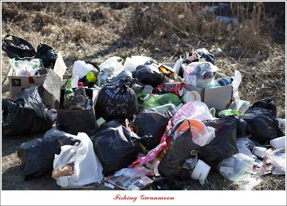 충주권빙어조황 (조황조행기 - 특파원조황)