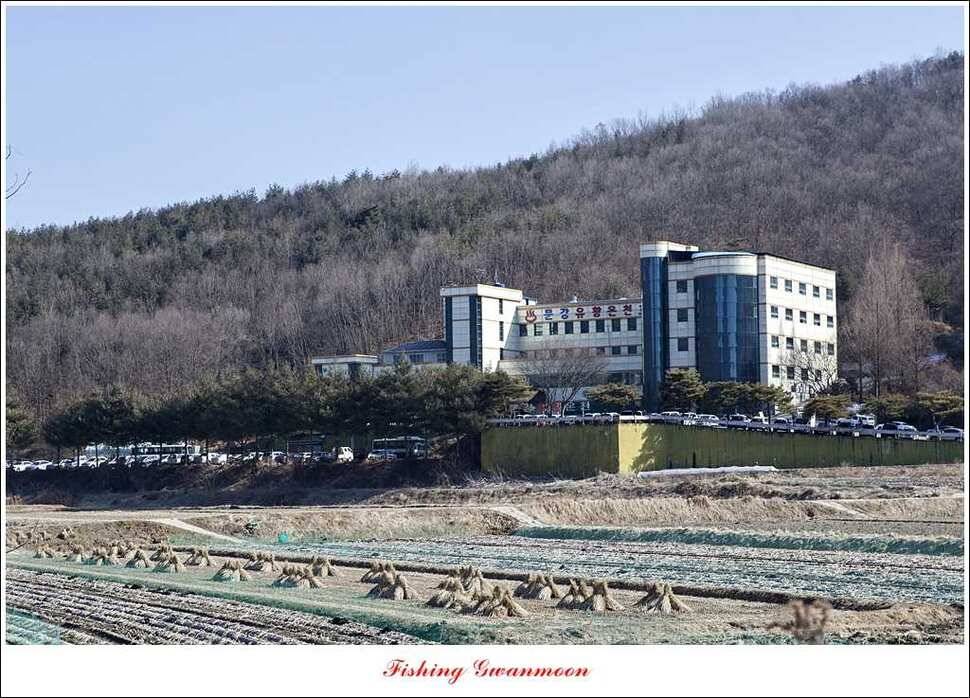 충주권빙어조황 (조황조행기 - 특파원조황)