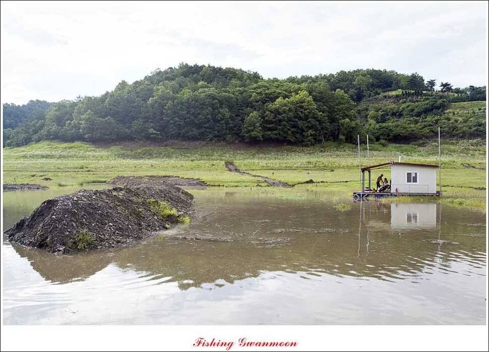 충주호 오름수위화곡지 조황 (조황조행기 - 특파원조황)