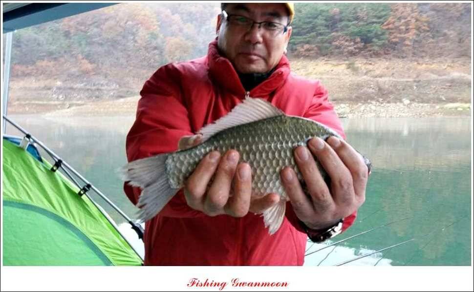 짱가네 435 cm425 cm 충주호 주말 조황 (조황조행기 - 특파원조황)