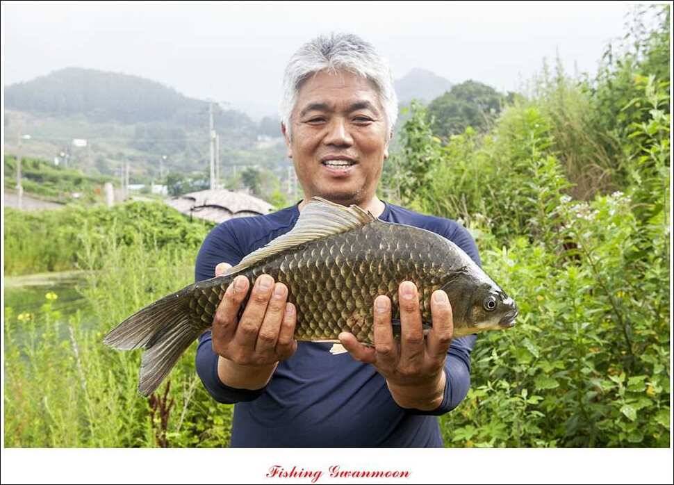 추평지 사짜명서 월척 (조황조행기 - 특파원조황)