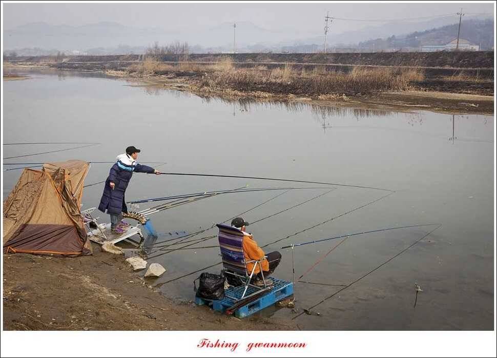 충주괴산권 조황 (조황조행기 - 특파원조황)