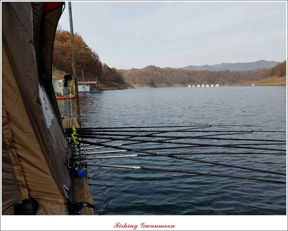 짱가네 435 cm425 cm 충주호 주말 조황 (조황조행기 - 특파원조황)