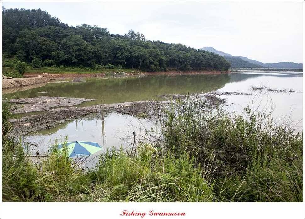 윤 낚시터 사짜늘푸른 장어추평지 (조황조행기 - 특파원조황)