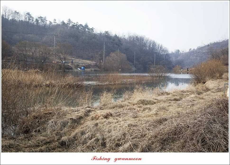 충주괴산권 조황 (조황조행기 - 특파원조황)