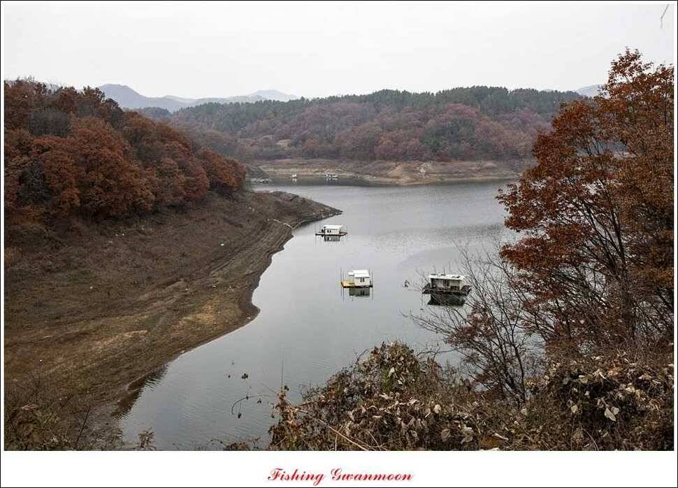 짱가네 435 cm425 cm 충주호 주말 조황 (조황조행기 - 특파원조황)