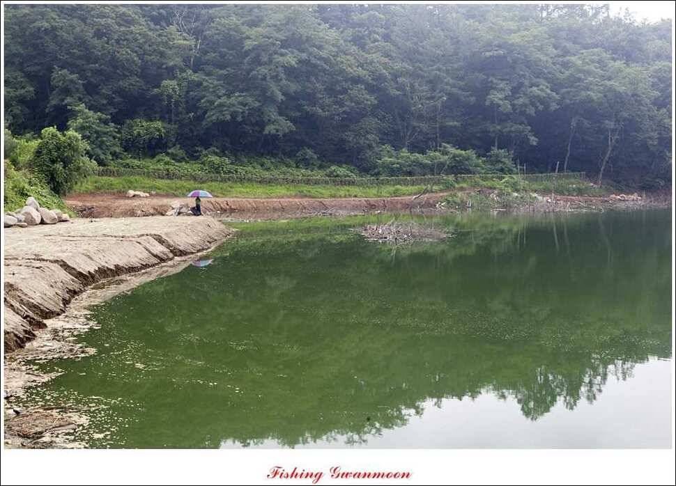 추평지 사짜명서 월척 (조황조행기 - 특파원조황)