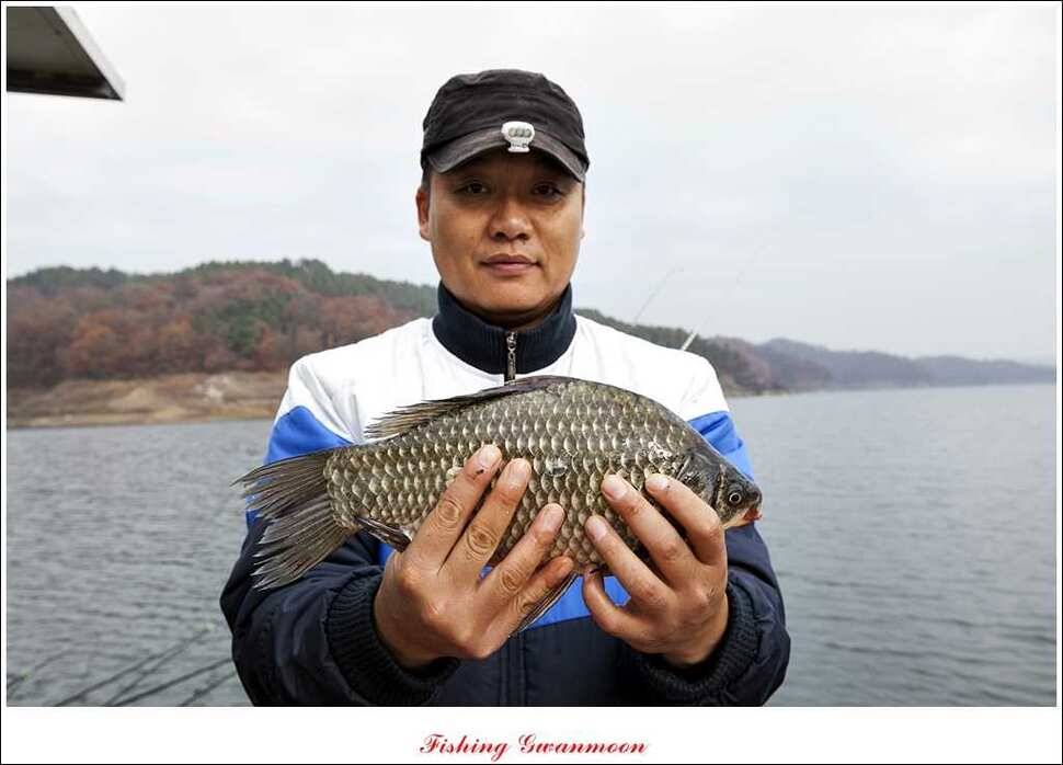 짱가네 435 cm425 cm 충주호 주말 조황 (조황조행기 - 특파원조황)