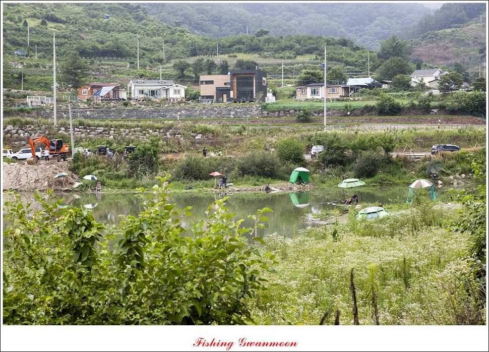 윤 낚시터 사짜늘푸른 장어추평지 (조황조행기 - 특파원조황)