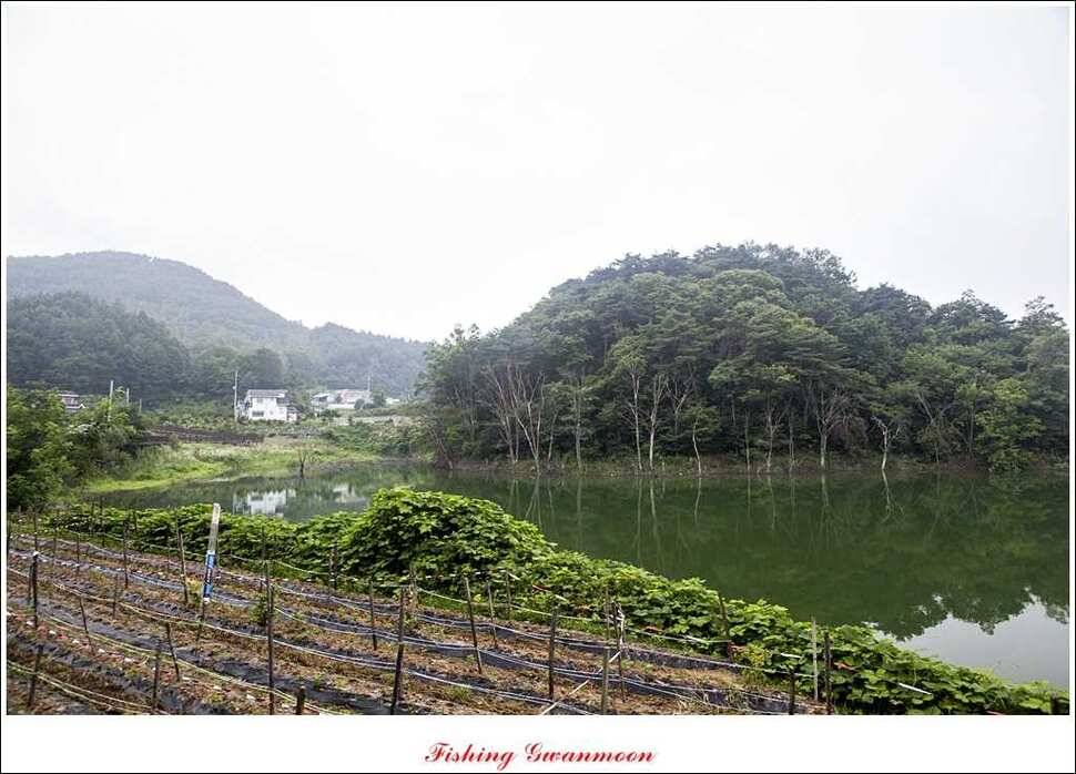 추평지 사짜명서 월척 (조황조행기 - 특파원조황)