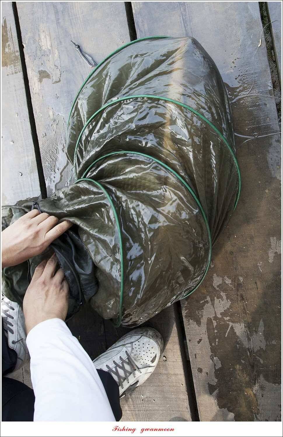 한버들 435 cm칠성지 42 cm (조황조행기 - 특파원조황)