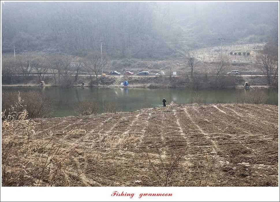충주괴산권 조황 (조황조행기 - 특파원조황)