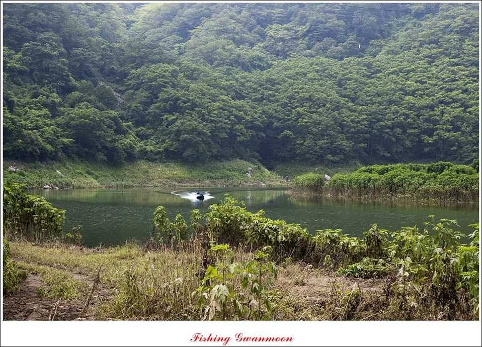 추평지 사짜명서 월척 (조황조행기 - 특파원조황)