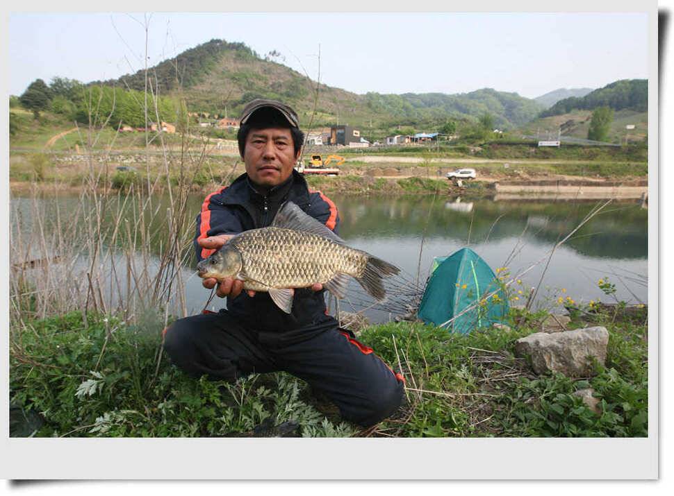 4짜 4연타 홈런 (조황조행기 - 특파원조황)