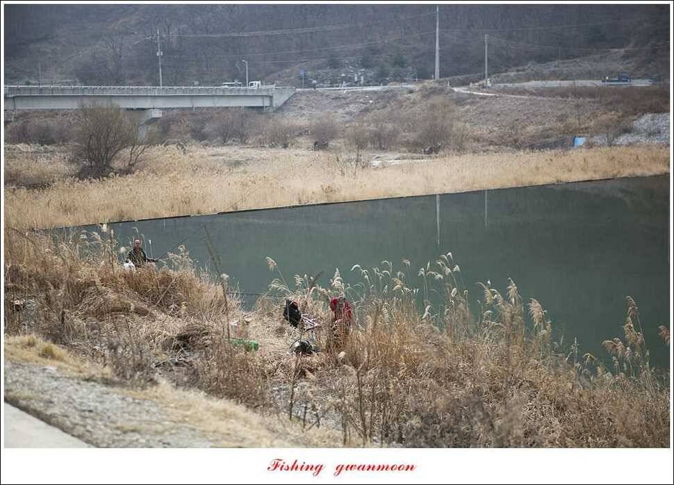 충주괴산권 조황 (조황조행기 - 특파원조황)