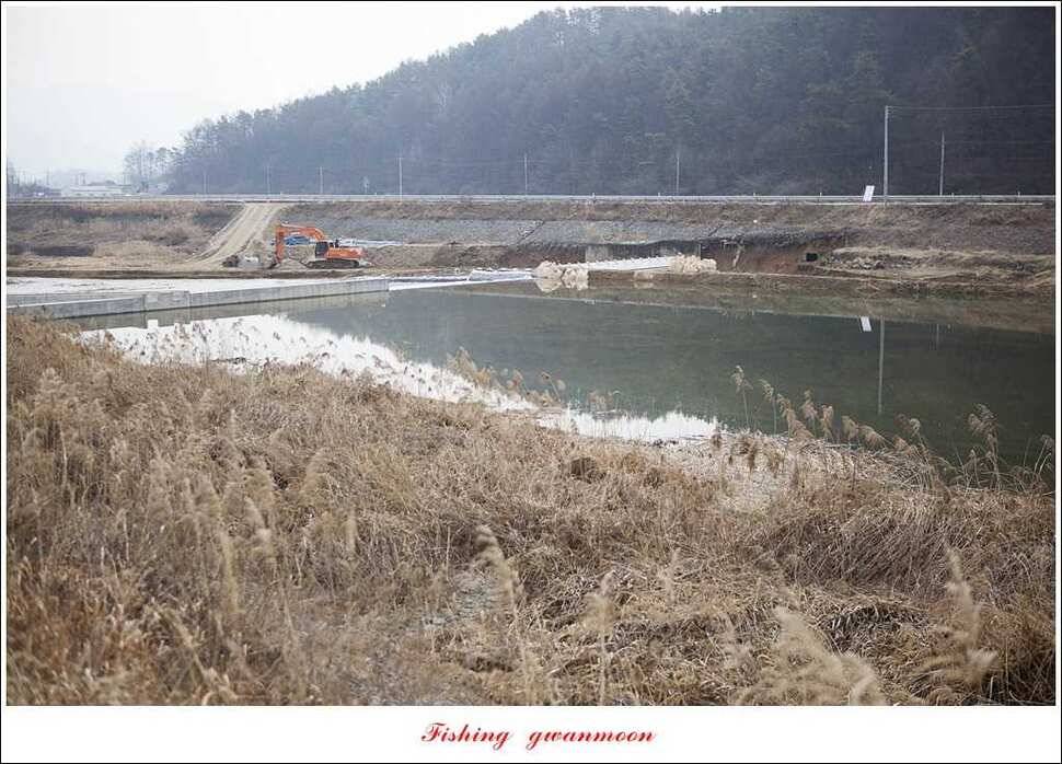 충주괴산권 조황 (조황조행기 - 특파원조황)