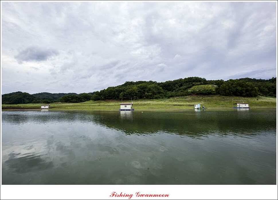 충주호 오름수위화곡지 조황 (조황조행기 - 특파원조황)