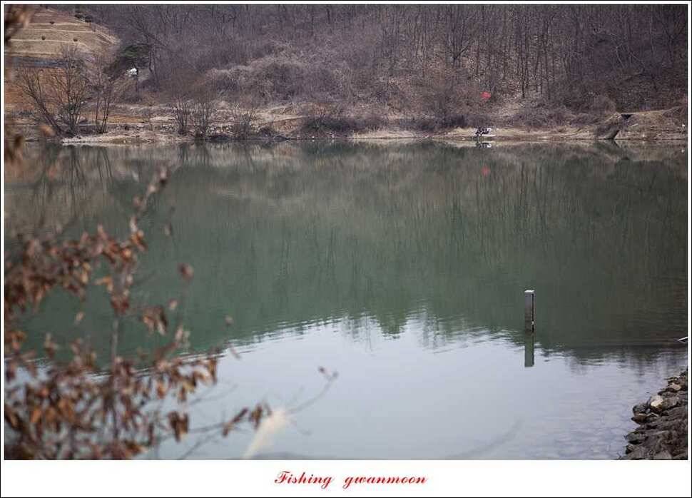 충주괴산권 조황 (조황조행기 - 특파원조황)