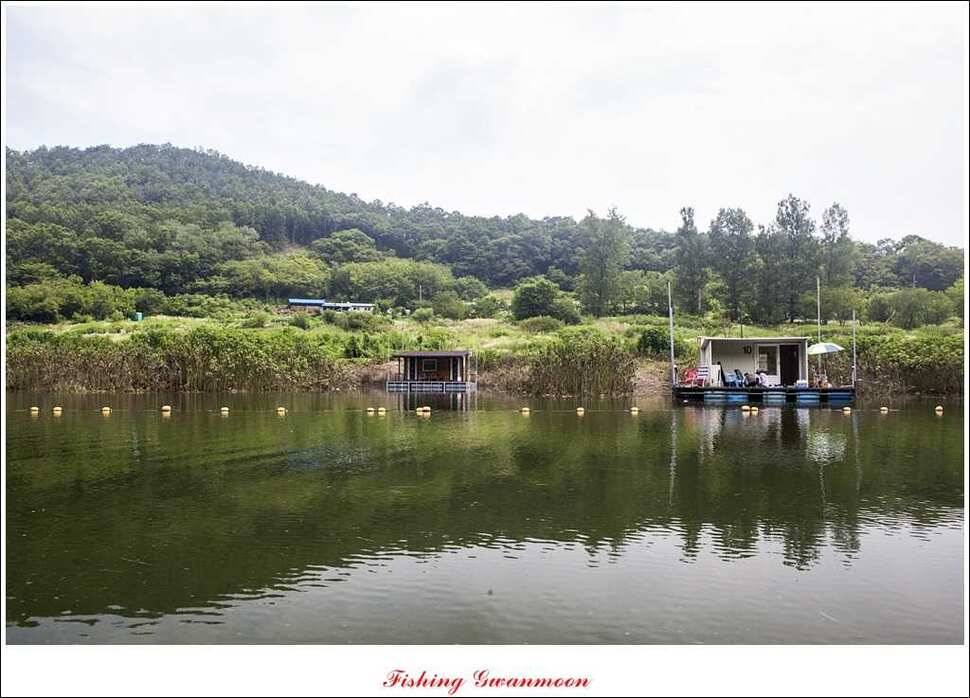 추평지 사짜명서 월척 (조황조행기 - 특파원조황)