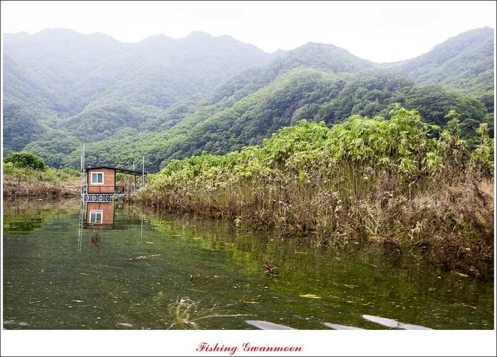 추평지 사짜명서 월척 (조황조행기 - 특파원조황)