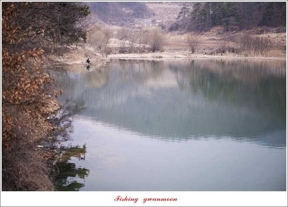 충주괴산권 조황 (조황조행기 - 특파원조황)