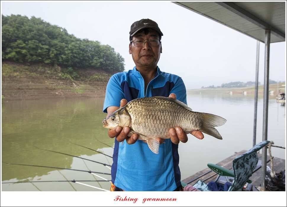 한버들 435 cm칠성지 42 cm (조황조행기 - 특파원조황)