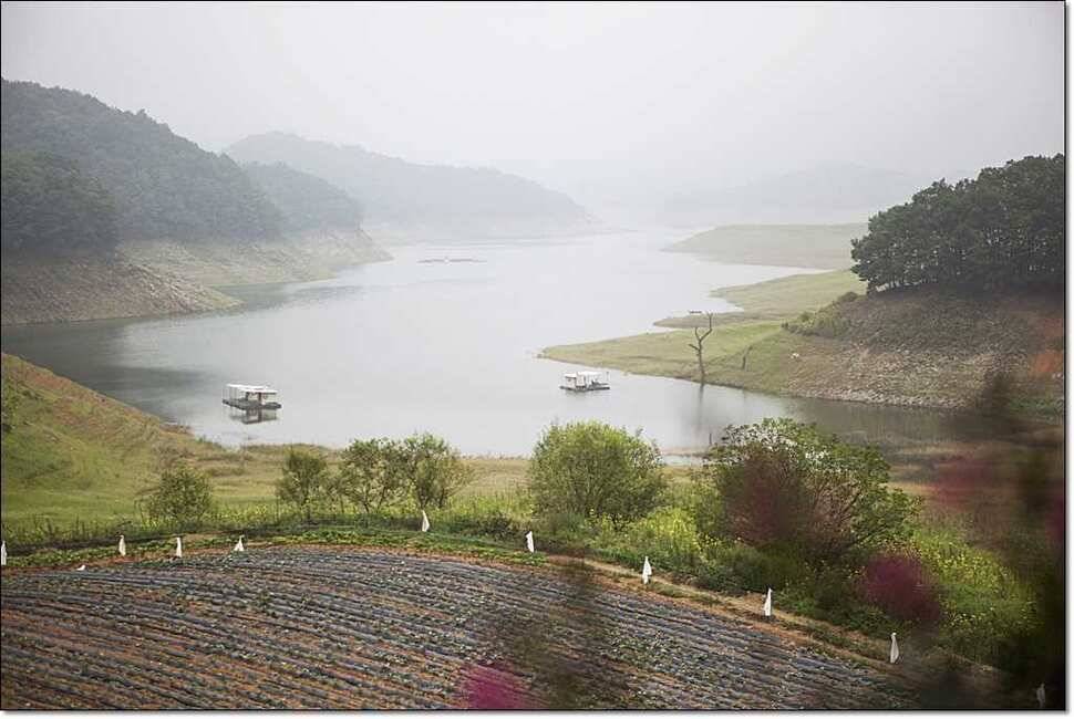 덕곡 사짜한버들신매 월척 (조황조행기 - 특파원조황)