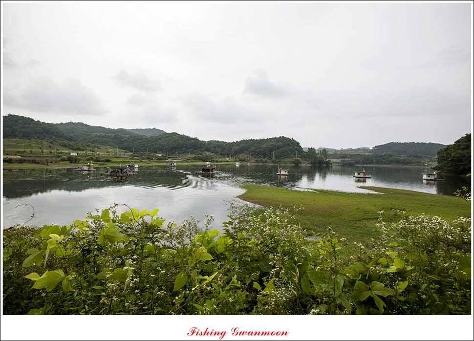 충주호 오름수위화곡지 조황 (조황조행기 - 특파원조황)