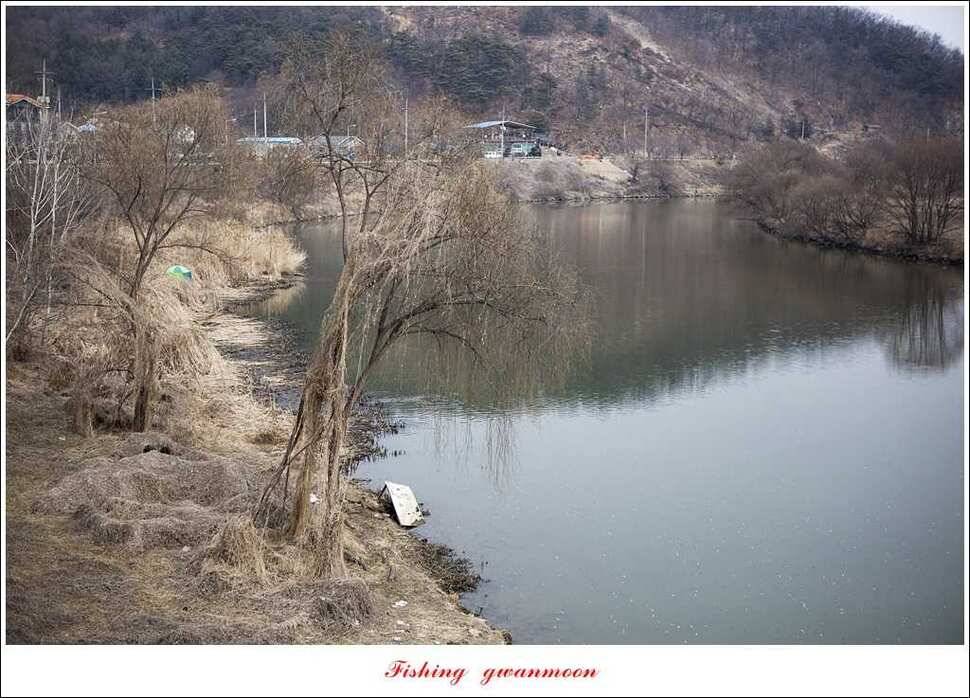 충주괴산권 조황 (조황조행기 - 특파원조황)