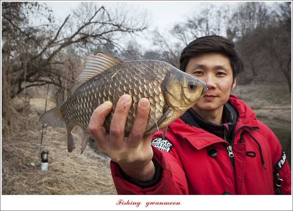 충주괴산권 조황 (조황조행기 - 특파원조황)