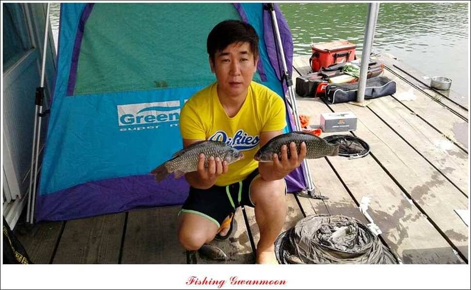 한버들돌감실리곡화곡지노지 조황 (조황조행기 - 특파원조황)