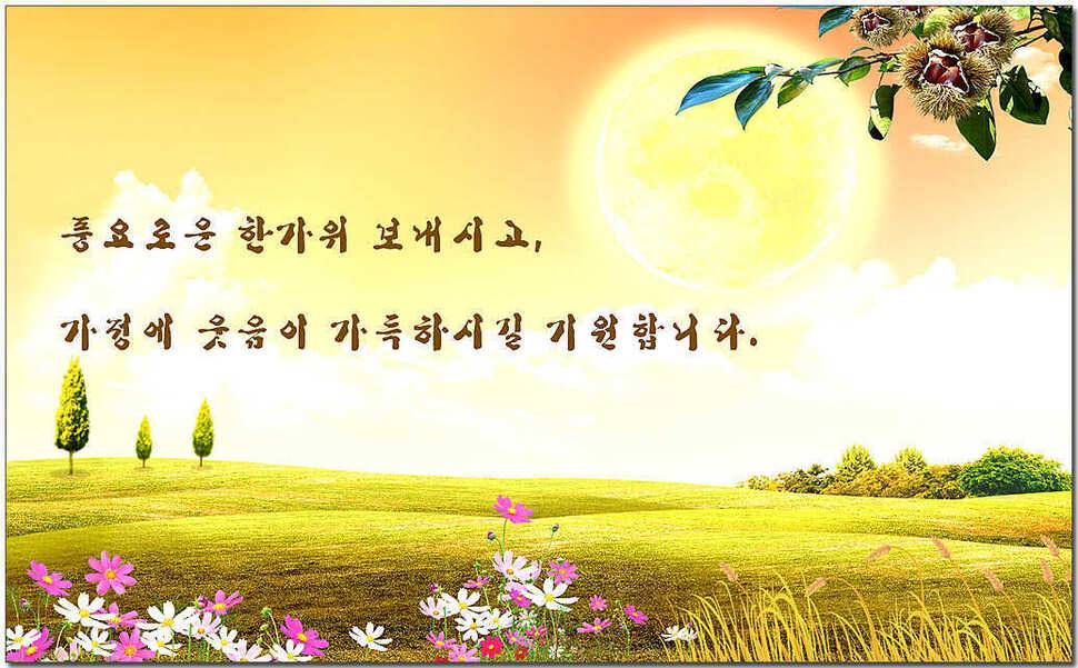 윤 월척칠성지 월척 (조황조행기 - 특파원조황)