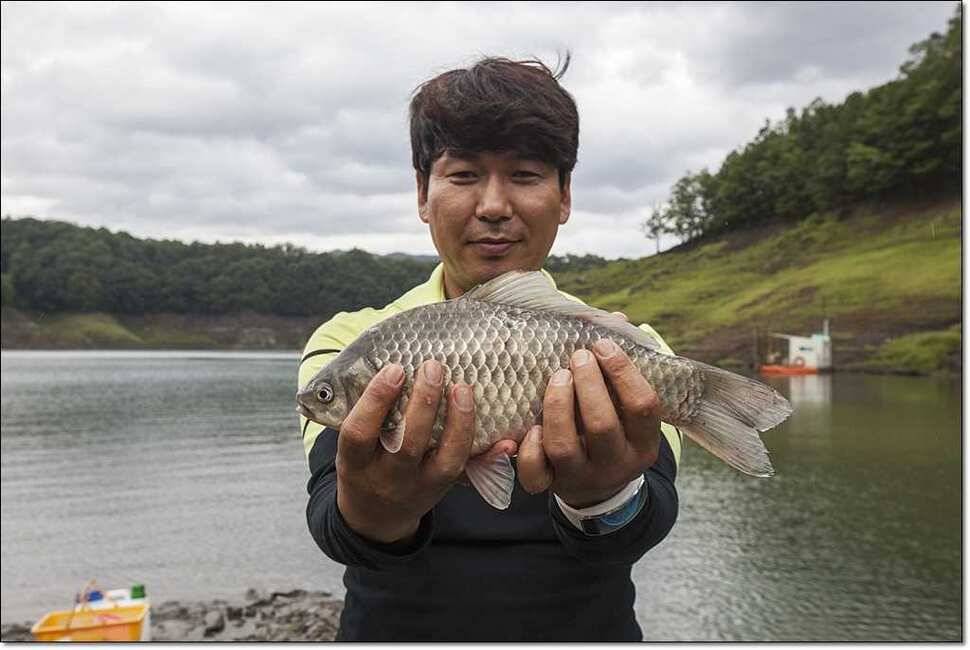 연론리 돌감 425cm병호 415cm늘푸른 키로장어소류지 사짜 (조황조행기 - 특파원조황)