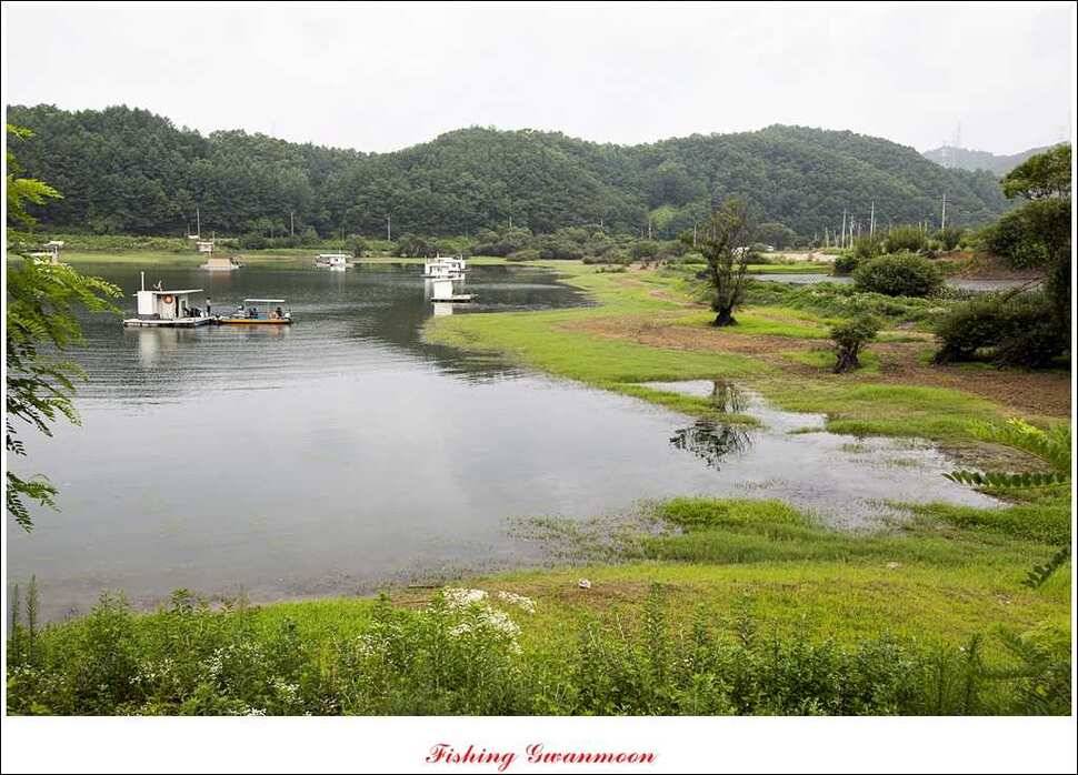 충주호 오름수위화곡지 조황 (조황조행기 - 특파원조황)