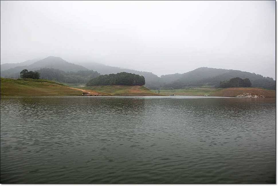 덕곡 사짜한버들신매 월척 (조황조행기 - 특파원조황)