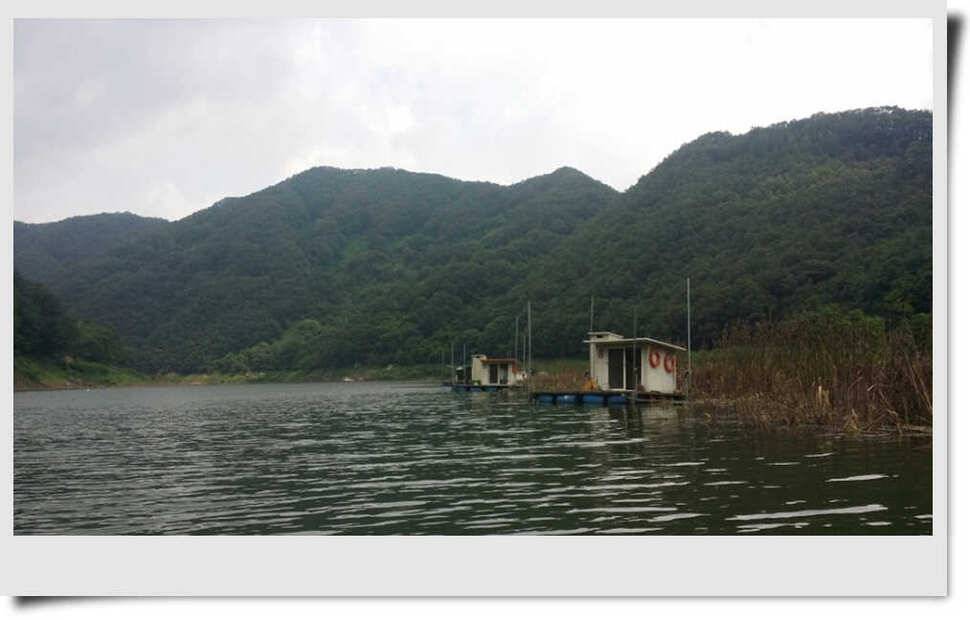 충주호 명서 4짜붕어 목벌 대물장어 (조황조행기 - 특파원조황)